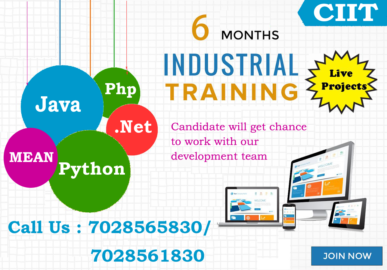 ciit offer you 6 months industrial training with 100% job guarantee